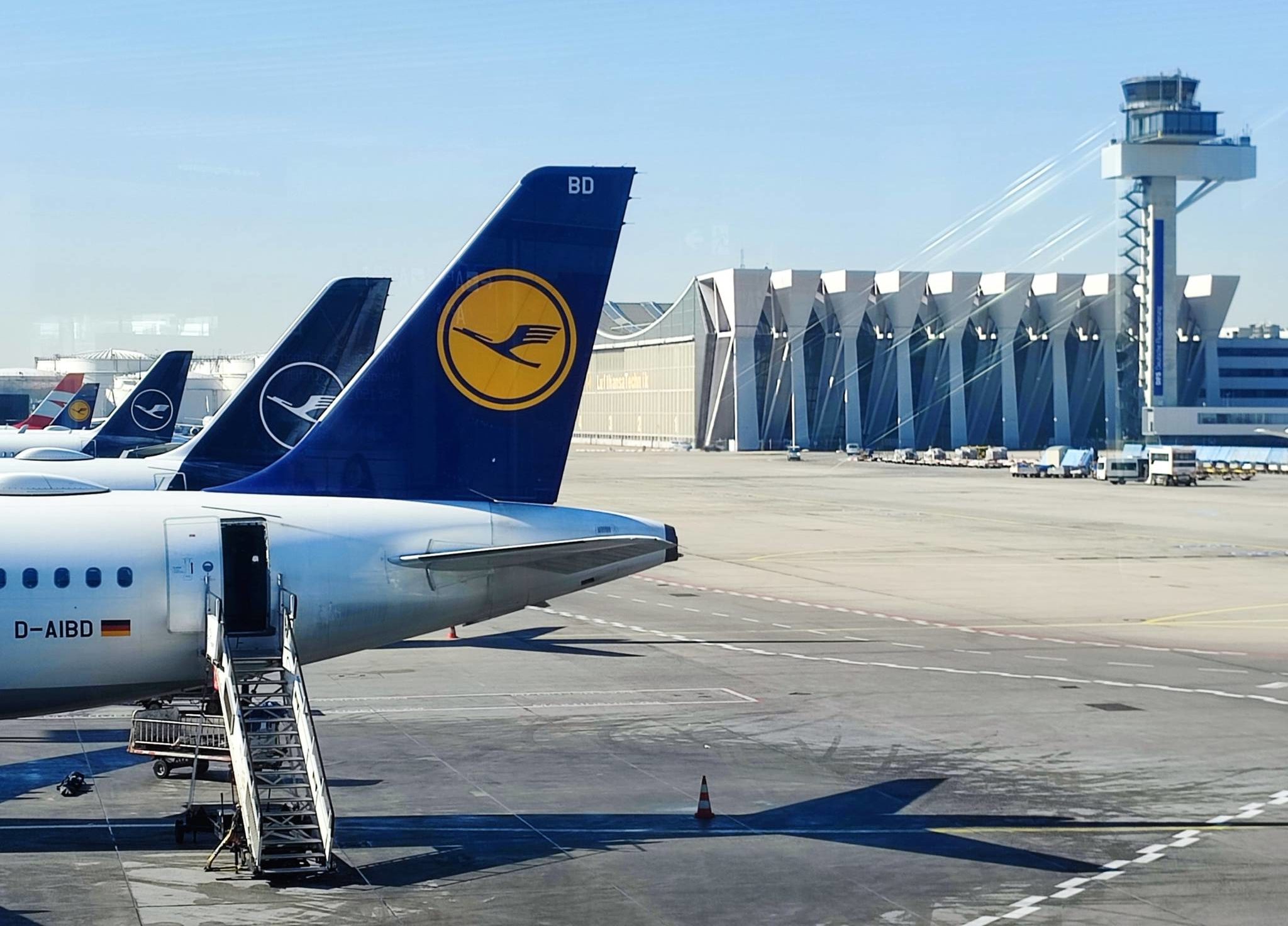 Lufthansa fortsätter förhandla om förlusttyngt italienskt flygbolag -  Travel News